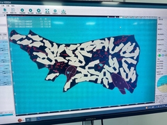신발 및 핸드백 공장에 대한 정품 가죽 절단 기계