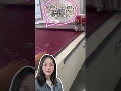 시글 헤드 라인 드라잉 머신 3kw 가죽 프린터 머신 3000 - 5000pcs/H